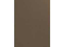 F992 M01 brushed bronze 18 x 2070 x 2800 mm   D2 