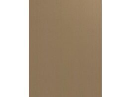 F994 M01 brushed gold 18 x 2070 x 2800 mm   D2 