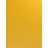 U135 CST amber yellow 18 x 2070 x 2800 mm   D1 