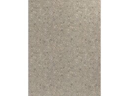 S F254/F255 BST ceppo min. grey - beige 8 x 2070 x 2800 mm  D2 