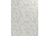 F253 BST carrara creamy 18 x 2070 x 2800 mm   D2 