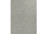 F254 BST ceppo mineral grey 18 x 2070 x 2800 mm   D2 